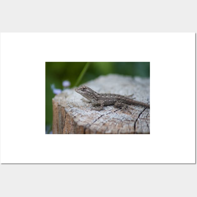 Texas Spiny Lizard Wall Art by Jacquelie